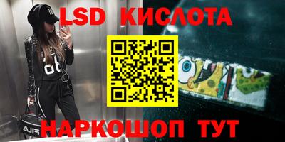 прущие грибы Конаково
