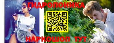 прущие грибы Конаково