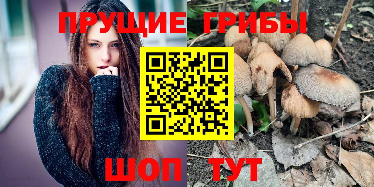 Еманжелинск  купить наркотик  Вход с VPN  Галлюциногенные грибы Psilocybe  Псилоцибиновые грибы мицелий 